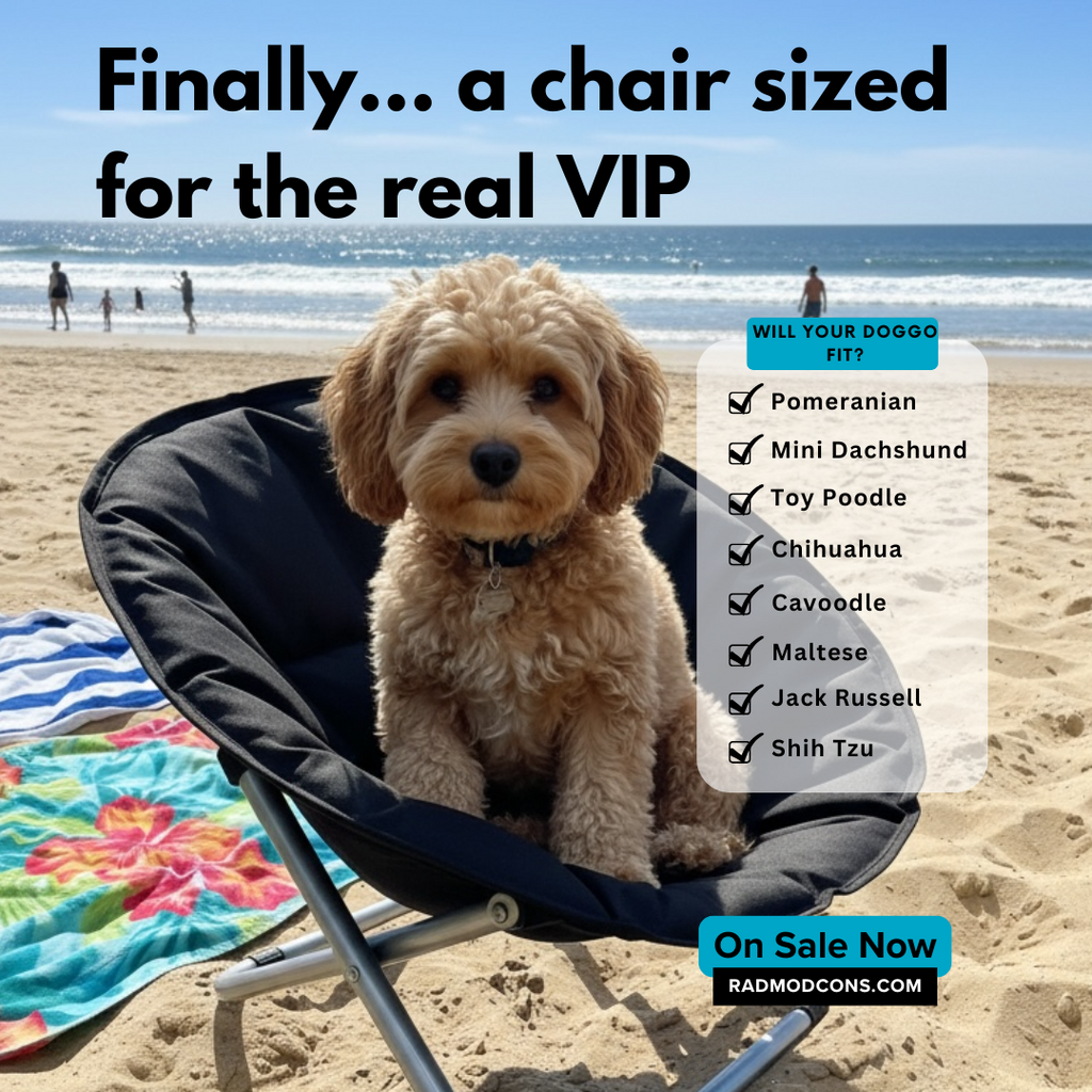 Pet Camping Chair