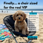 Pet Camping Chair
